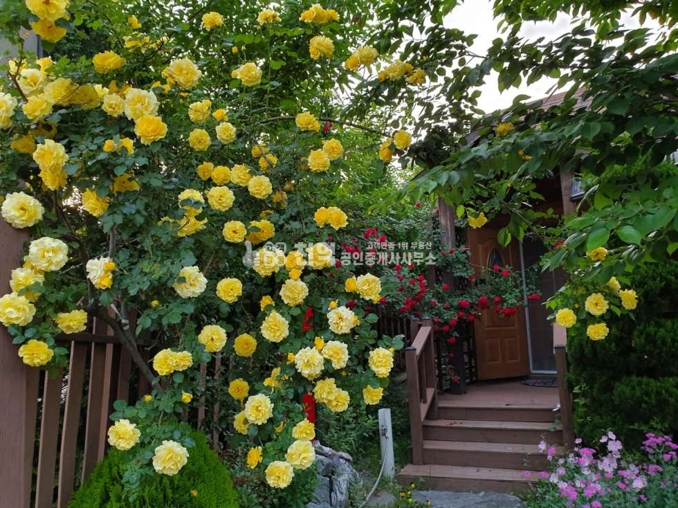 충남 천안서북구 성거읍 정촌리 주변 산업단지개발등 호재가 풍부한 위치 매매 매물번호 10138 사진 12