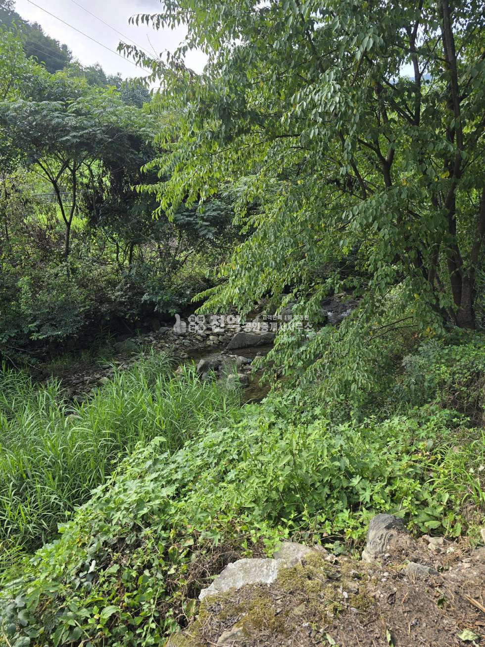 충남 천안동남구 광덕면 광덕리312 매매 매매 매물번호 10197 사진 5