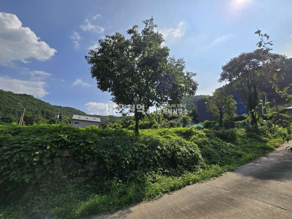 충남 천안동남구 광덕면 광덕리312 매매 매매 매물번호 10197 사진 7