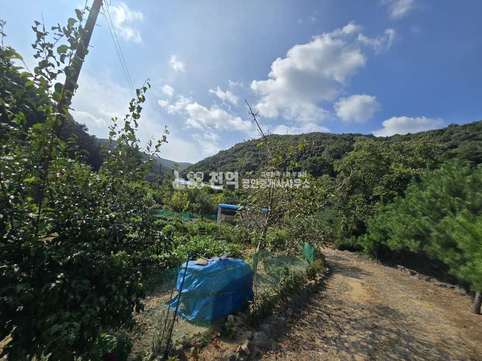 충남 천안동남구 광덕면 광덕리312 매매 매매 매물번호 10197 사진 8