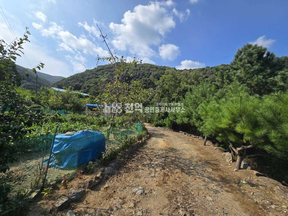 충남 천안동남구 광덕면 광덕리312 매매 매매 매물번호 10197 사진 10