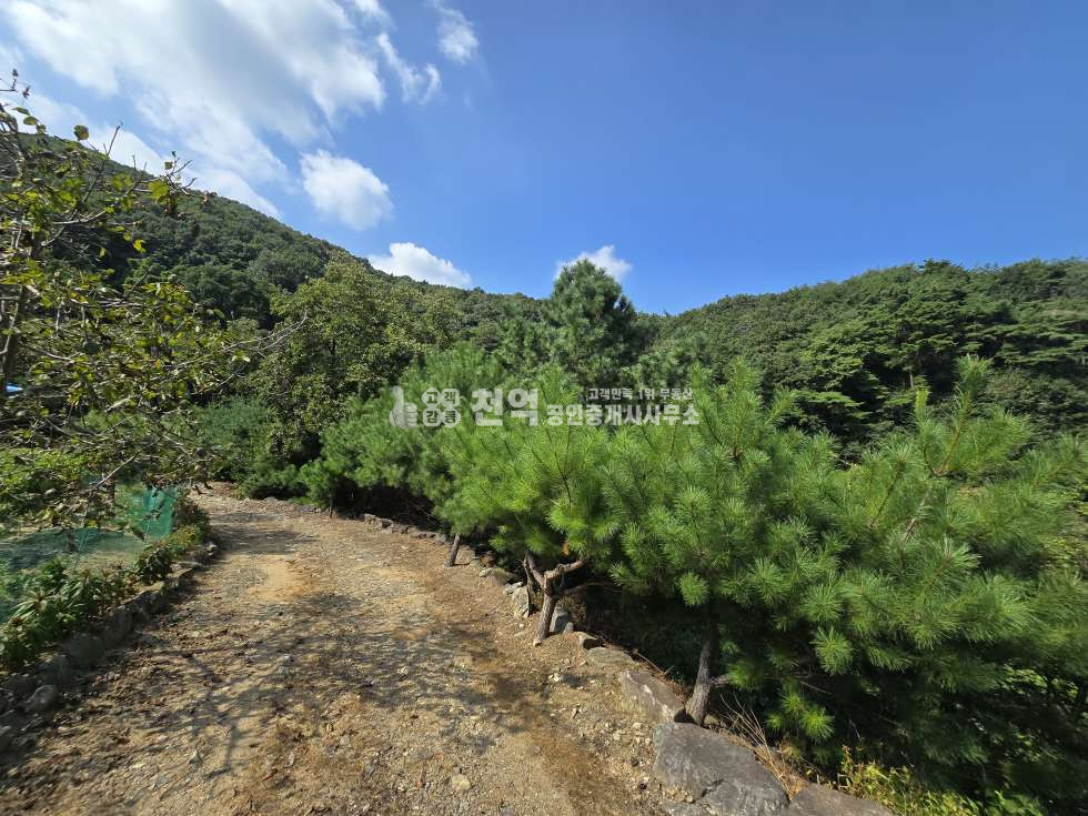 충남 천안동남구 광덕면 광덕리312 매매 매매 매물번호 10197 사진 11